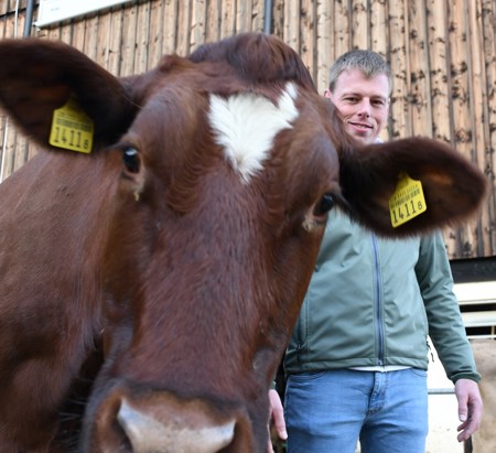 Kein Kraftfutter für die Kühe