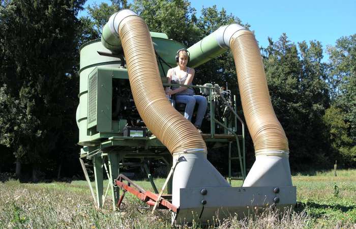 Per «Staubsauger» zu Blumensamen