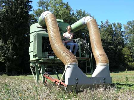 Per «Staubsauger» zu Blumensamen