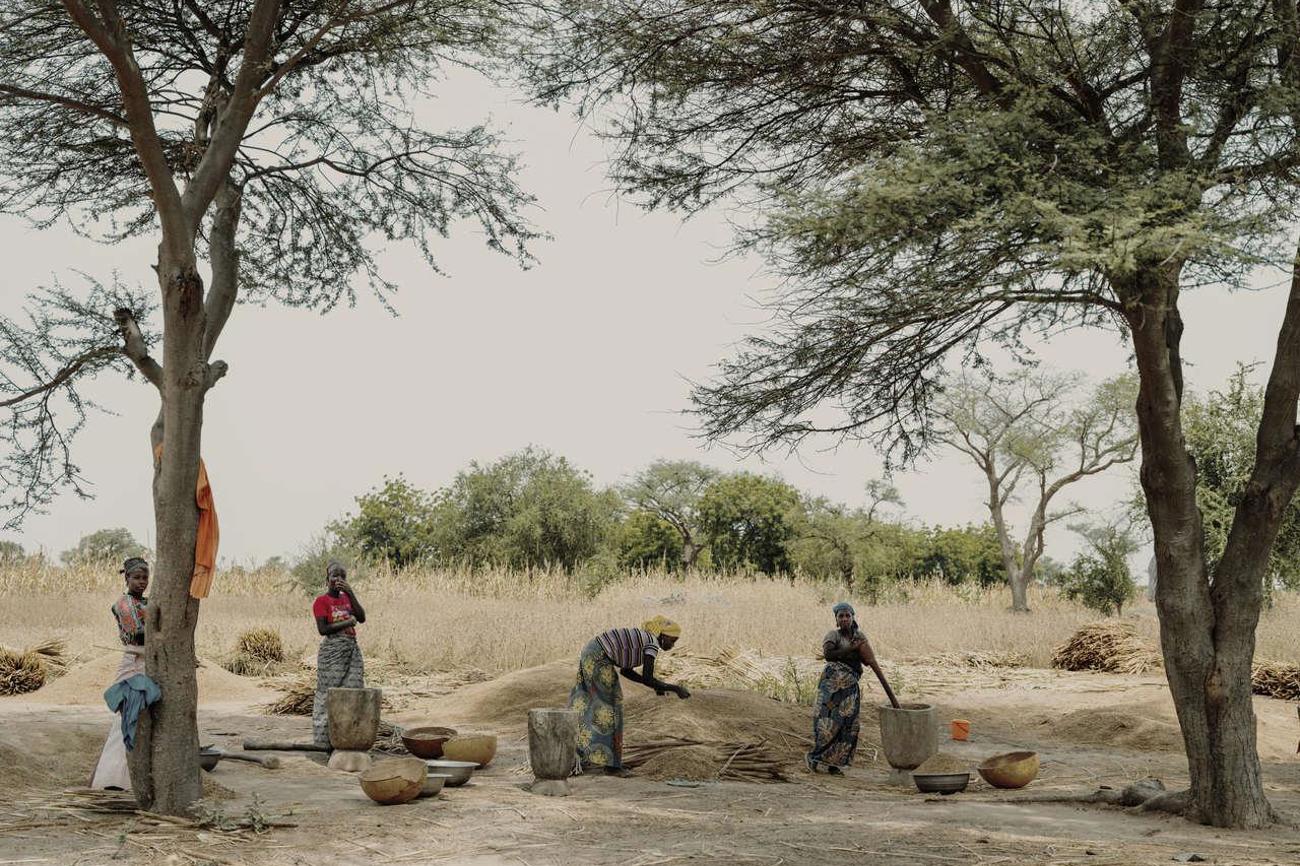 Es ist heiss und trocken in der Region Maradi in Niger. Der Regen fällt noch unregelmässiger als früher.