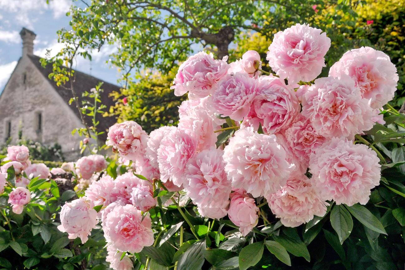 Bietet eine einmalige Atmosphäre für erholsame und kreative Ferientage: die Kartause Ittingen. (Bild: Bernadette Oberholzer)