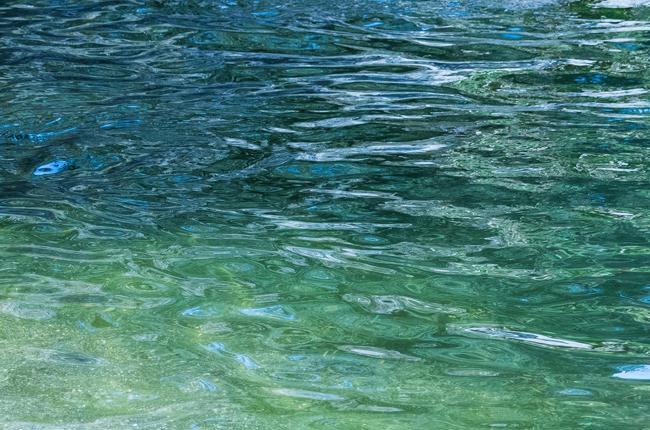 Klein Klein Gerber R1509 13971