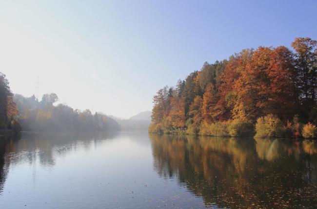 Baumgartner Ernst Guebsesee