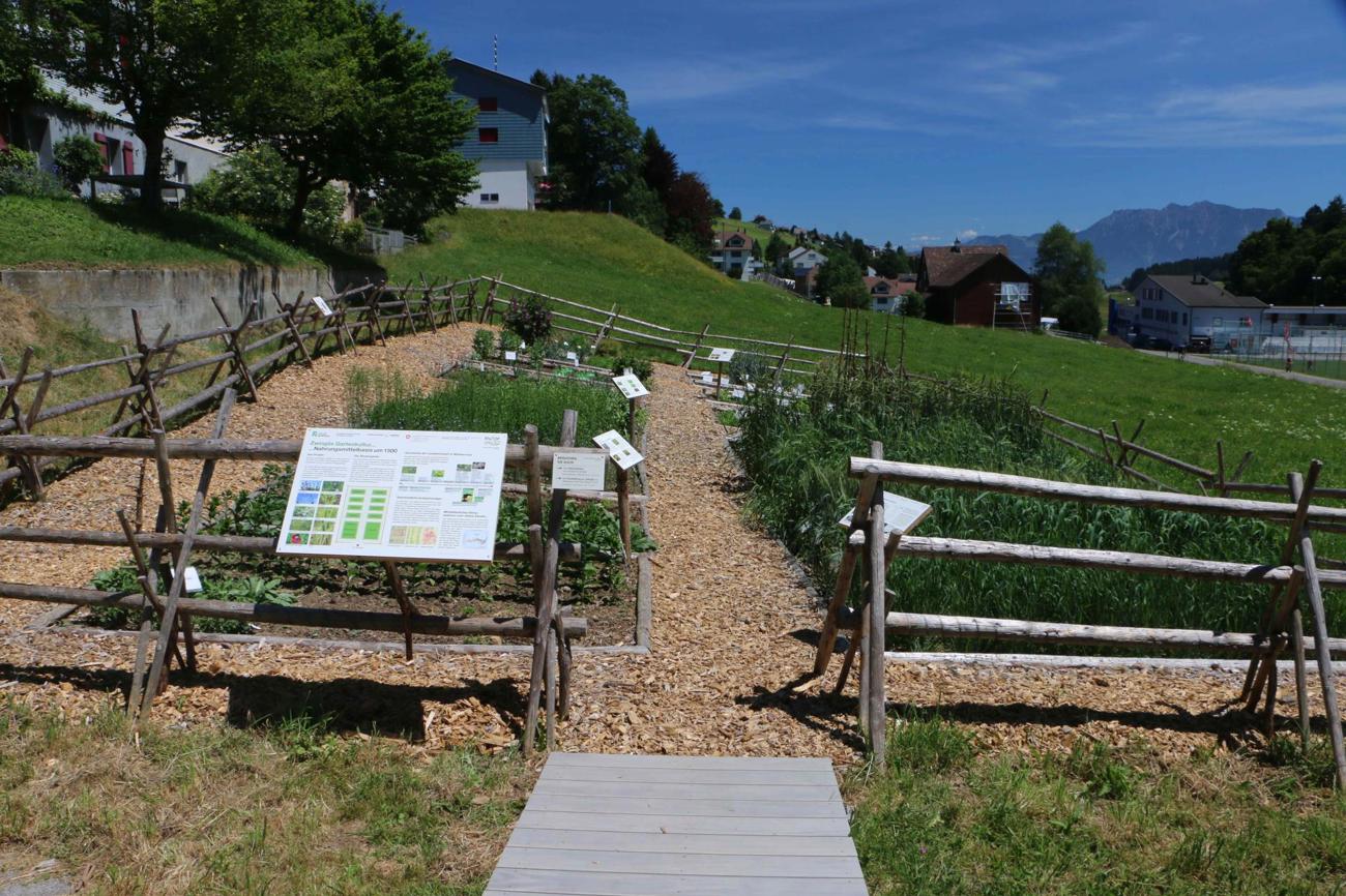 Schautafeln erklären die Essgewohnheiten im 15. Jahrhundert