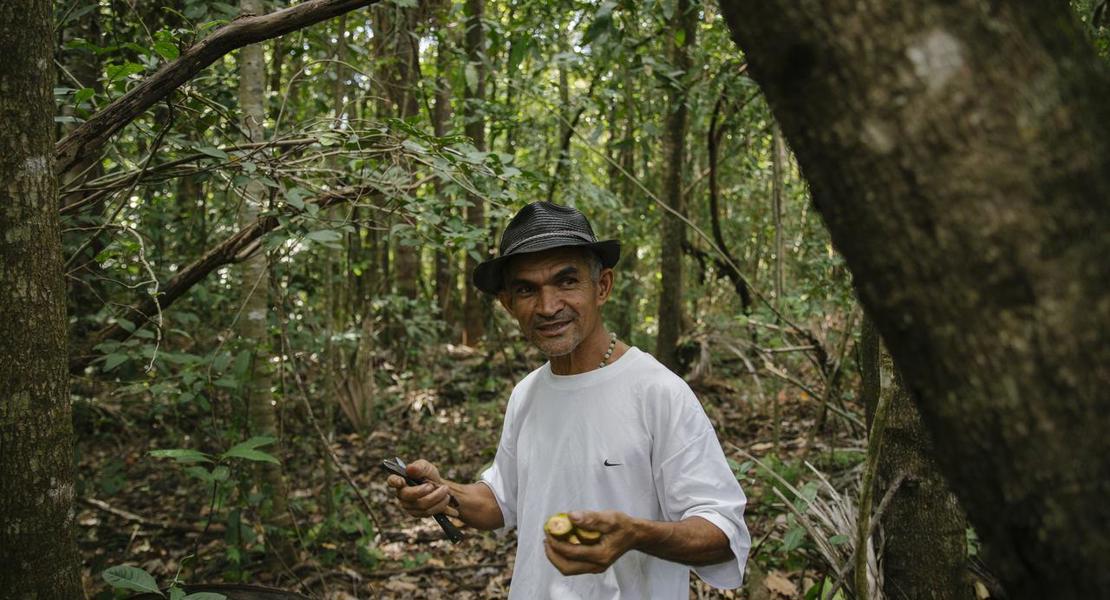 Brasilien: Inmitten von Bäumen bleiben der Boden feucht und die Luft kühl, selbst wenn es ausserhalb heiss und trocken ist. Die Quellen versiegen nicht, die Buritipalmen tragen viele Früchte.