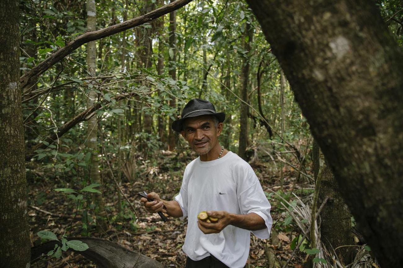 Brasilien: Inmitten von Bäumen bleiben der Boden feucht und die Luft kühl, selbst wenn es ausserhalb heiss und trocken ist. Die Quellen versiegen nicht, die Buritipalmen tragen viele Früchte.
