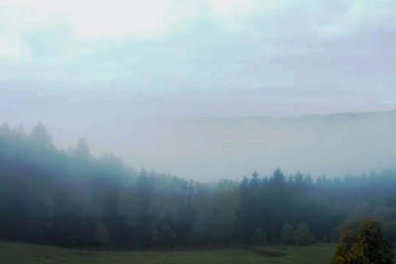 Den Klang der Schöpfung wahrnehmen. Durch die Jahreszeiten - durch die Lebensjahre.