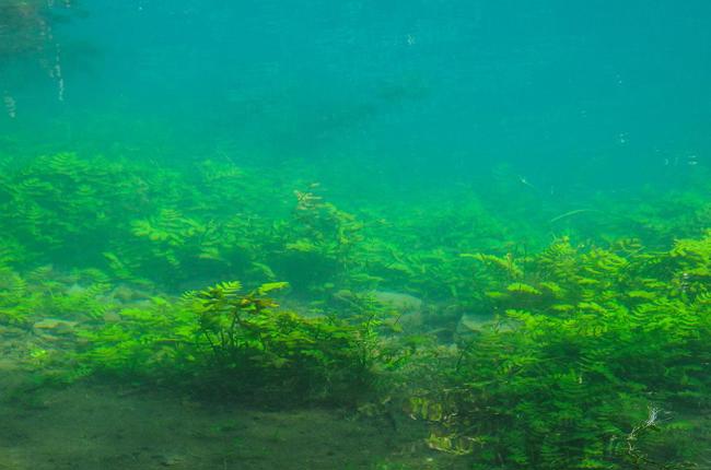 Klein Klein Gerber R1007 03412