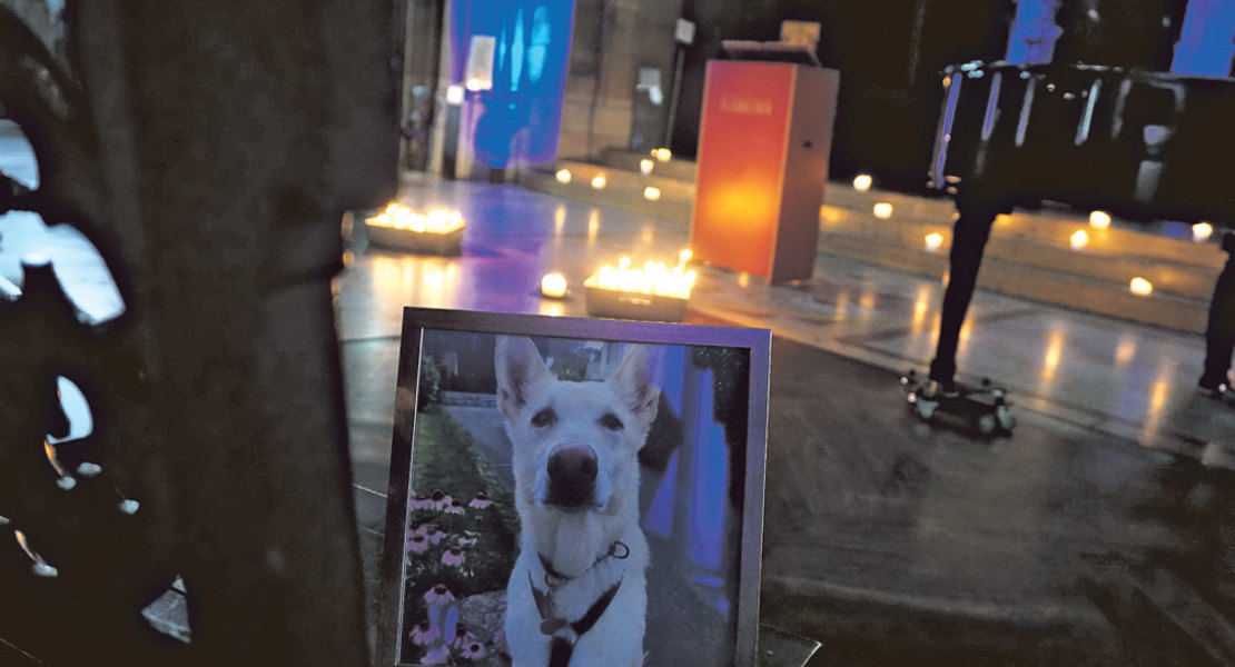 Im Gedenken an den verstorbenen Hund: Porträt an der Tiertrauerfeier in der Elisabthenkirche. | Foto: Noemi Harnickell