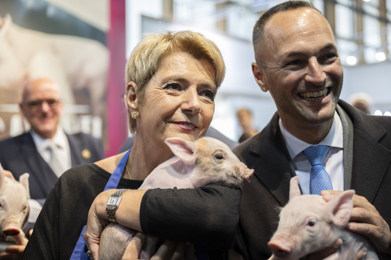 Die heilige Sau der Ostschweiz