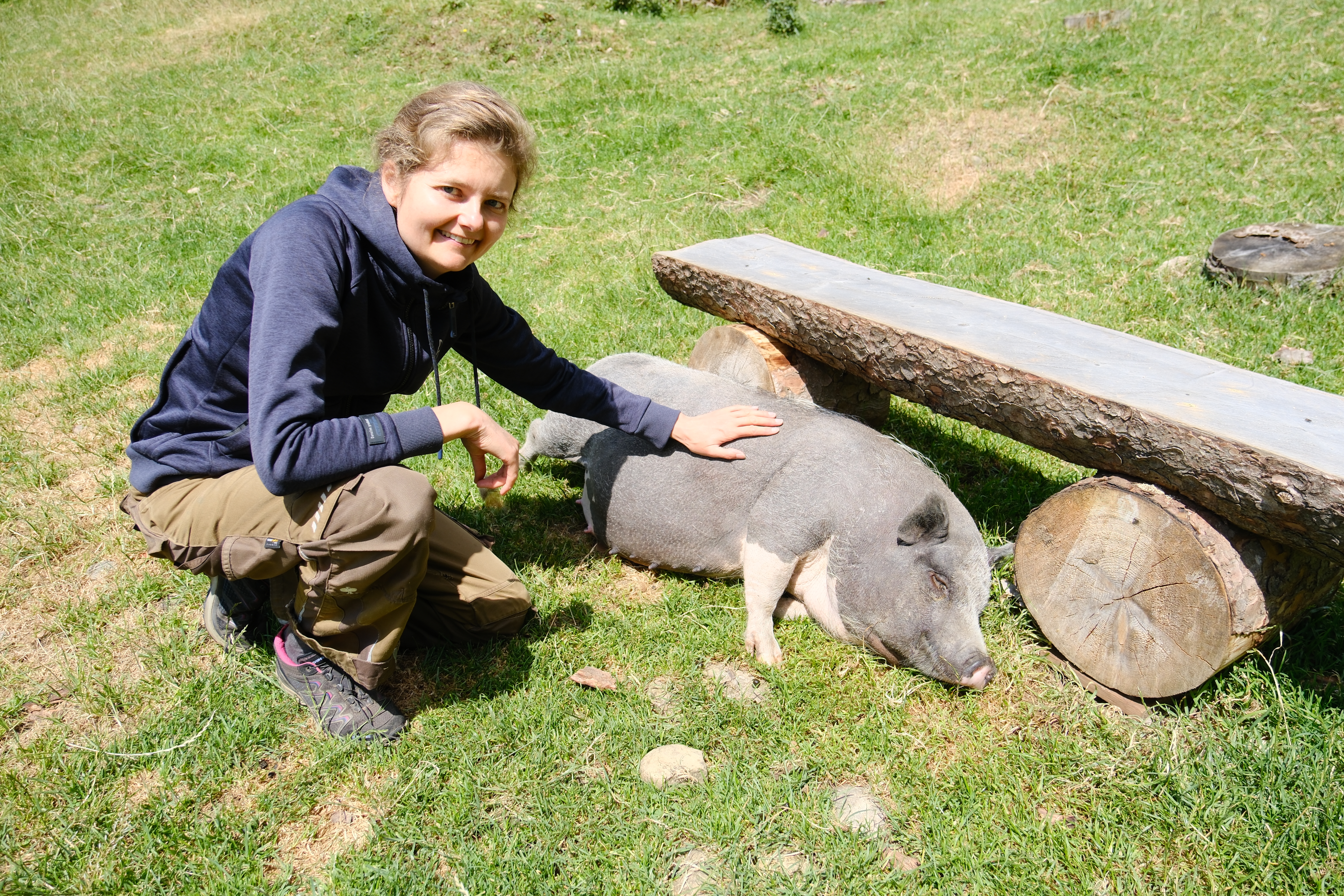 Mini-Pig Anjuli, das gerne grast und in der Sonne liegt, geniesst die Streicheleinheiten von Jessica Antusch. Foto: Reinhold Hönle